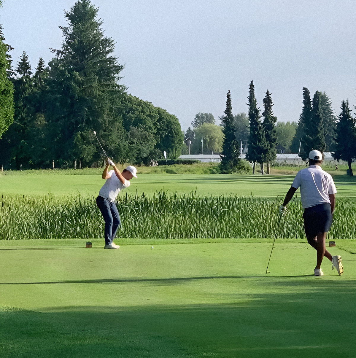 golfer-swinging-Golden-Ears-Competition-Pitt-Meadows-Golf